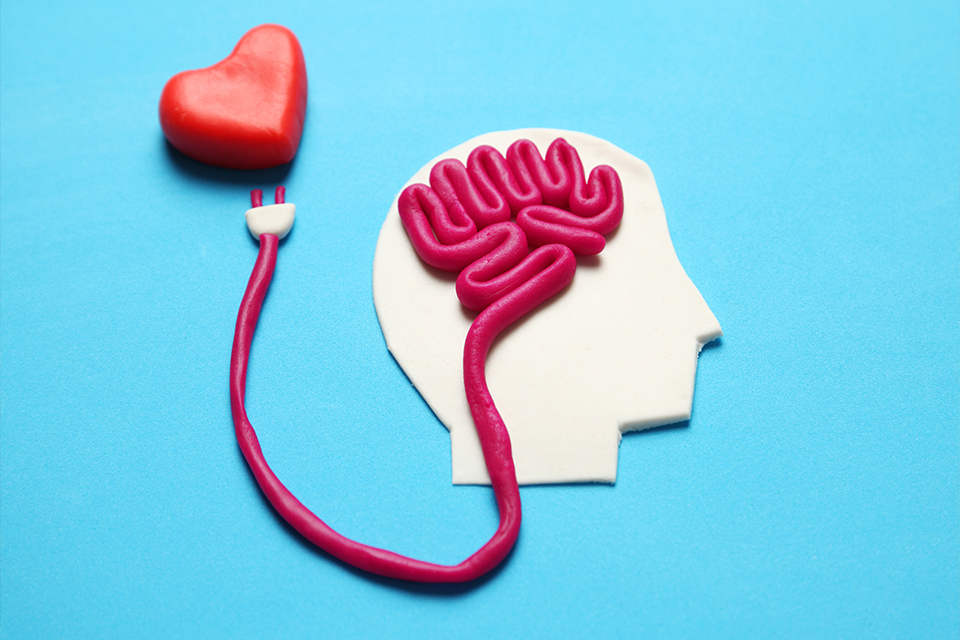 LONGEVITÀ E INTELLIGENZA EMOTIVA